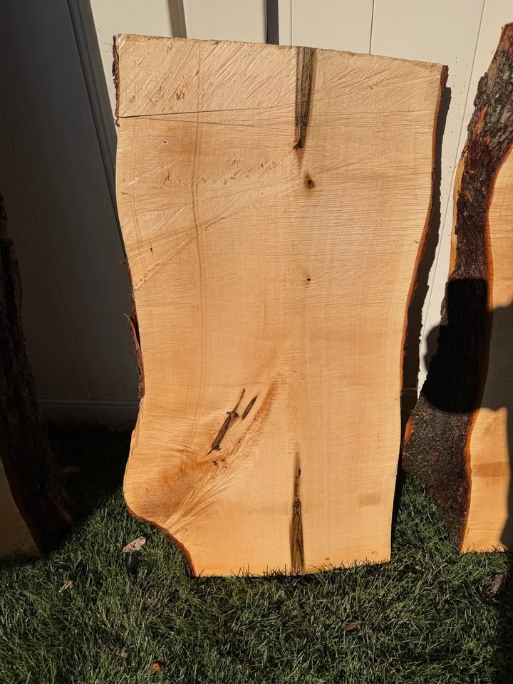 Live Edge Maple Wood Slab 38" x 20" - Image 2