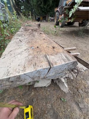 Maple wood 3” thick