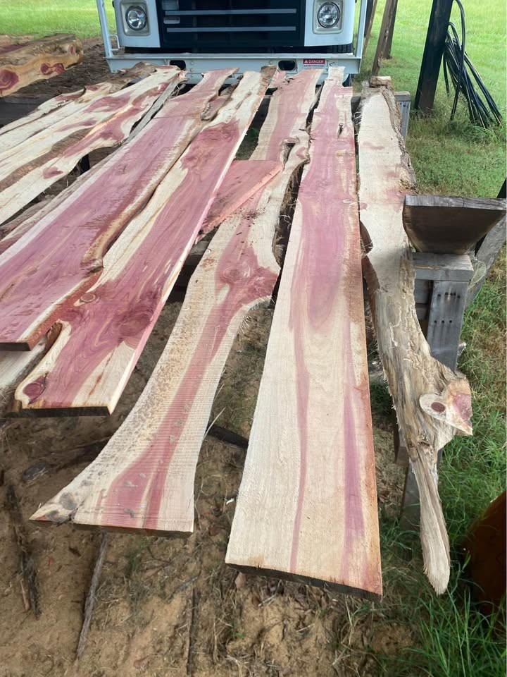 Cedar lumber - Image 3