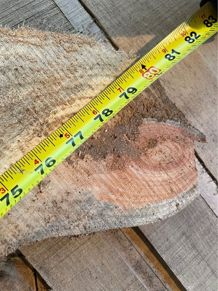 Live edge wood slabs white pine, and poplar 7 PCs for $20 - Image 4