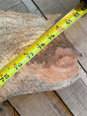 Live edge wood slabs white pine, and poplar 7 PCs for $20