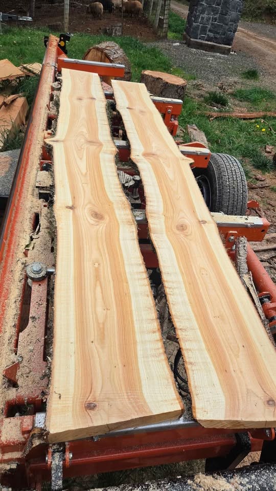 Wood slabs - Image 2