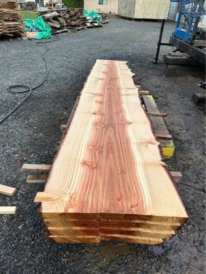 Sequoia Slabs