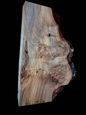 XL Wicked Wormy AMBROSIA Maple Burl Wood Blank, Turning Wood, EPOXY/STABILIZING Wood, maple burl