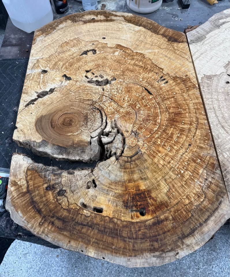 Large White Oak Burls Wood Burl Slabs Book matched and Rare - Image 10