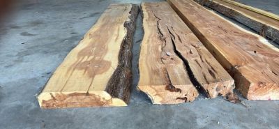 3” thick slabs of Cedar