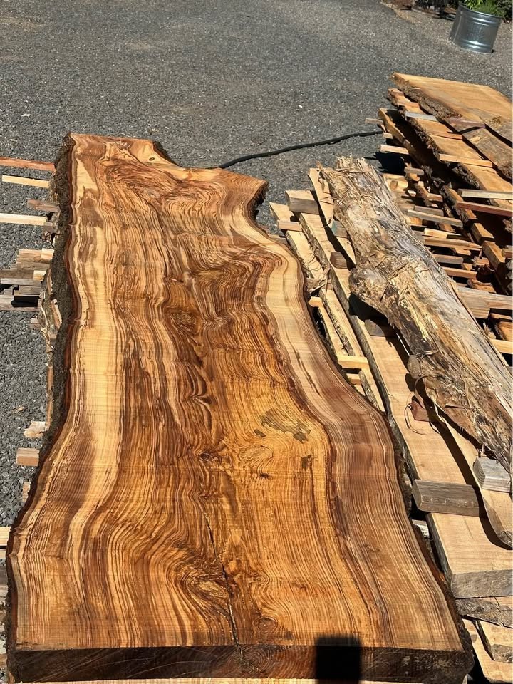 Wild Ash Slabs ;) (Kiln Dried) - Image 2