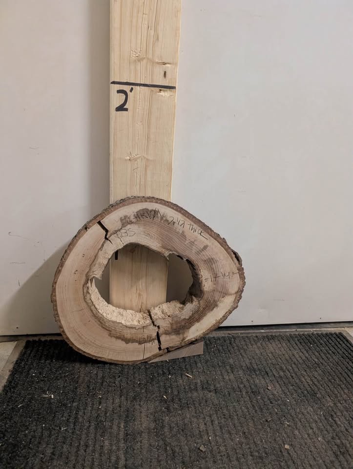 Hundreds of kiln dried & flattened wood slices - Image 9