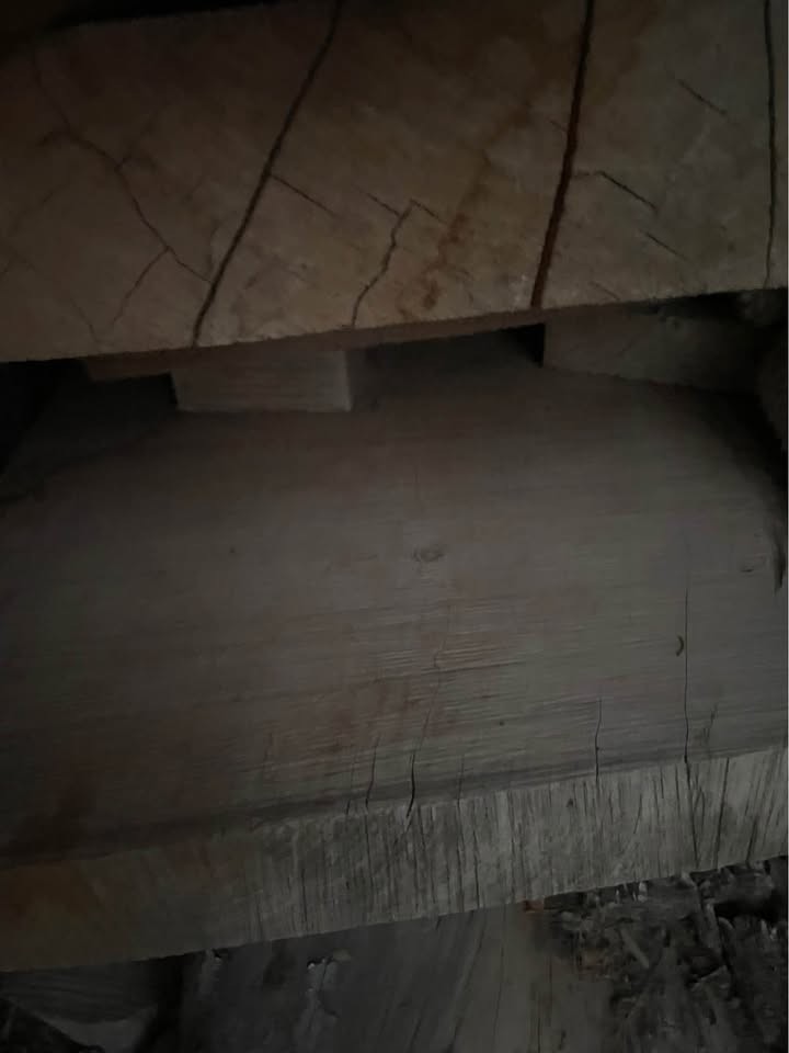 Wood slabs - Image 4