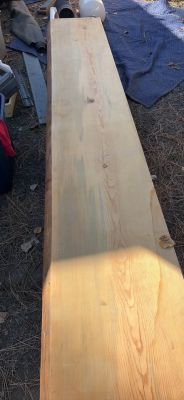 Live edge blue pine slab