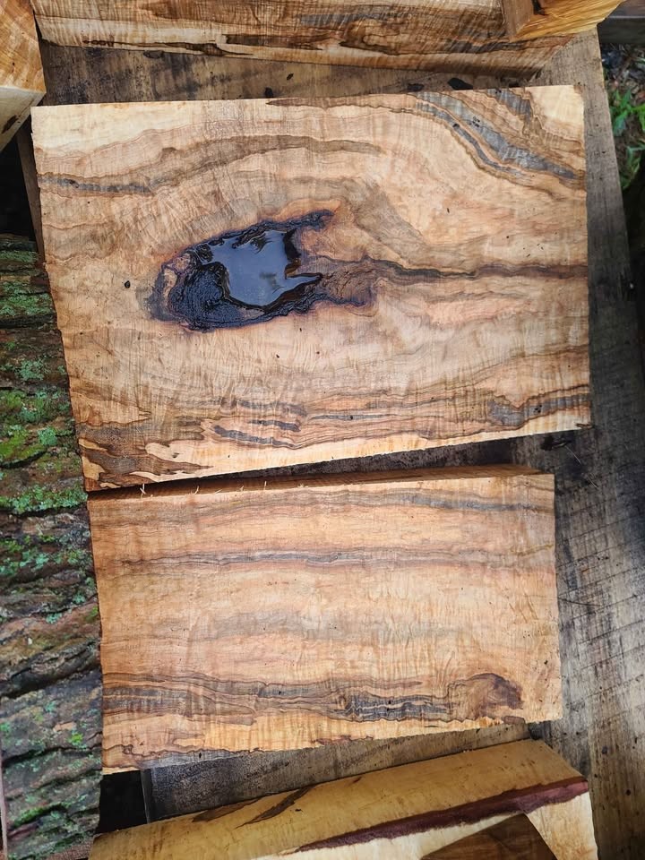Curly spalted ambrosia maple turning blanks and rounds - Image 8