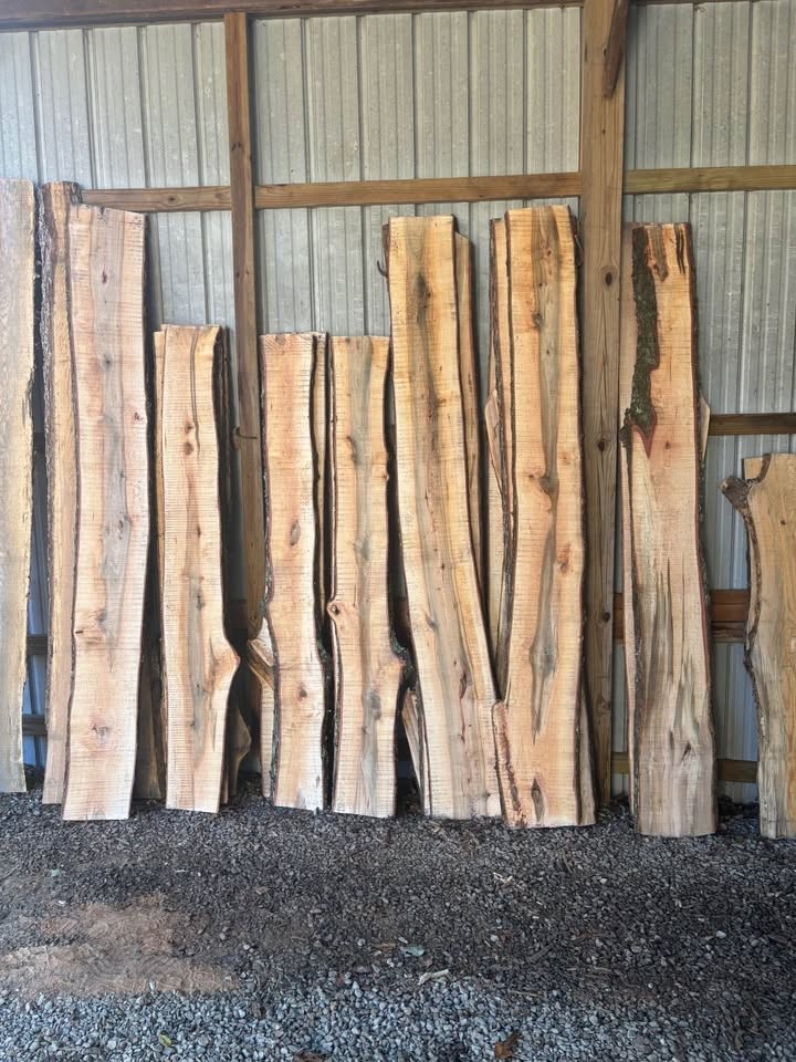 Live Edge maple slabs - Image 2