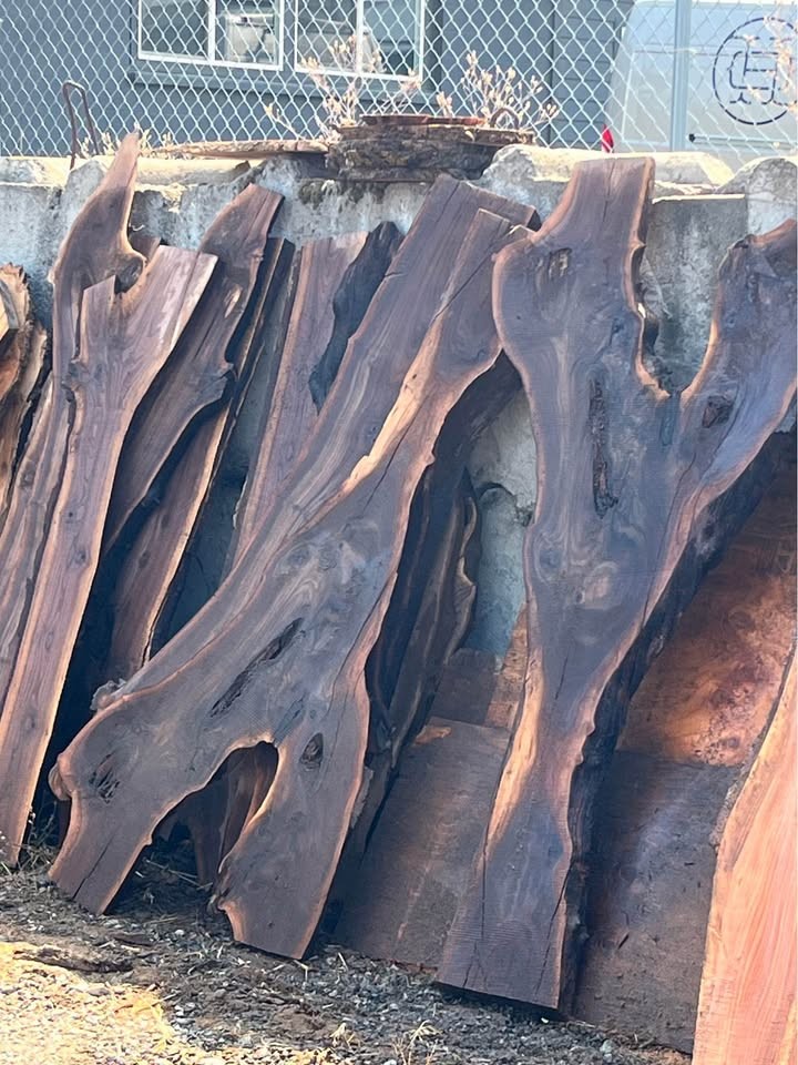 Live edge wood slabs - Image 3