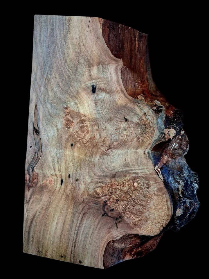 XL Wicked Wormy AMBROSIA Maple Burl Wood Blank, Turning Wood, EPOXY/STABILIZING Wood, maple burl - Image 4