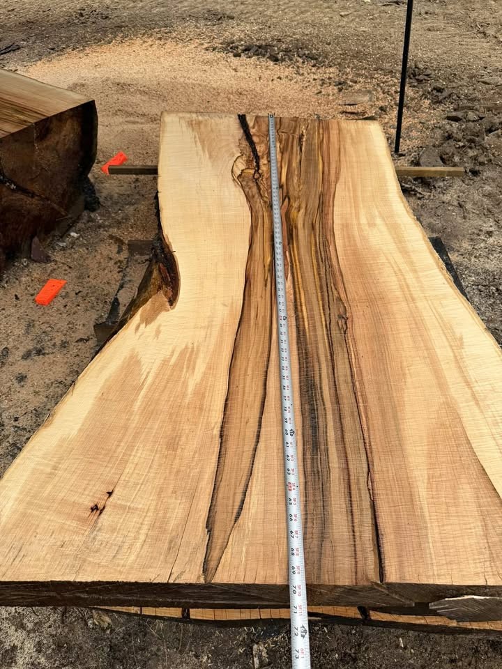 Silver Maple Live Edge Sawmill Slabs - Image 1