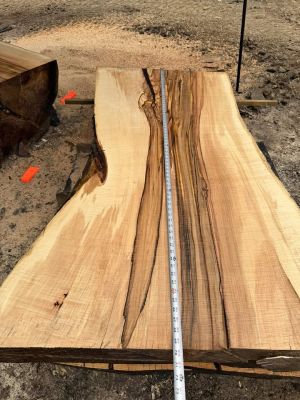 Silver Maple Live Edge Sawmill Slabs