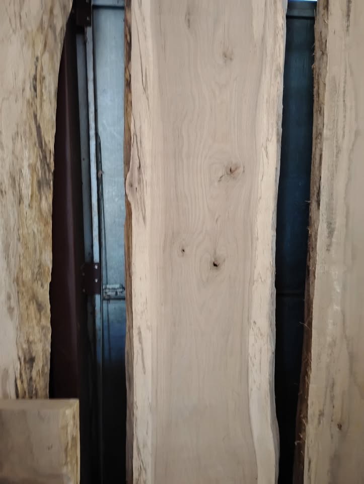Oak Wood Slabs - Image 5