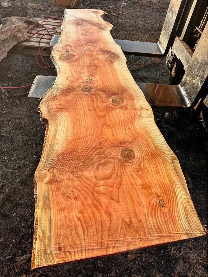 Fir Slab - Image 1