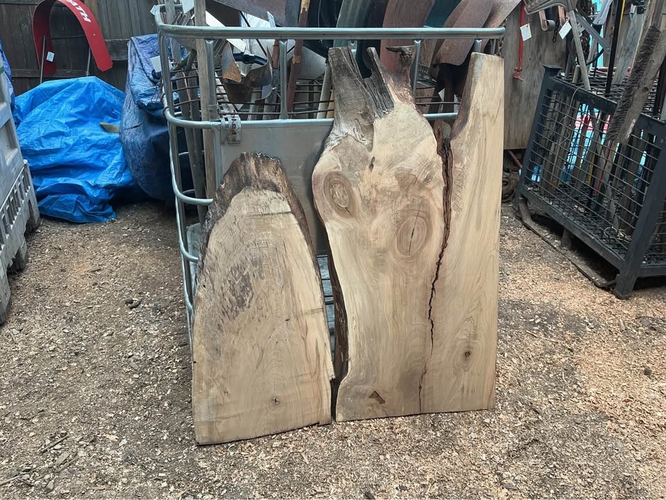 LIVE EDGE BOARDS FRESH OFF THE OVERSIZE PLANER - Image 2