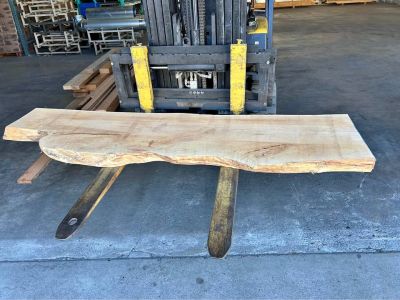 Live edge maple slabs