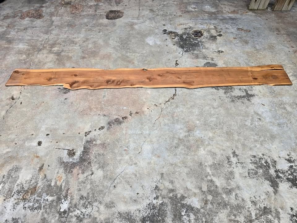 UNIQUE CEDAR SLAB 10FT LONG - Image 1