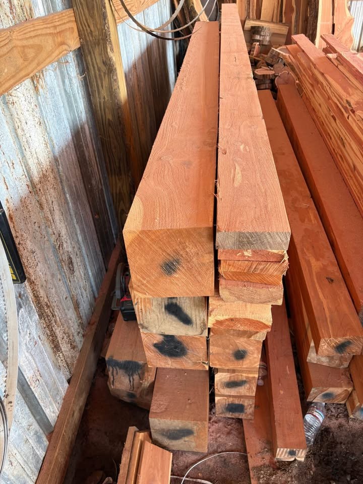 Eastern red cedar - Image 3