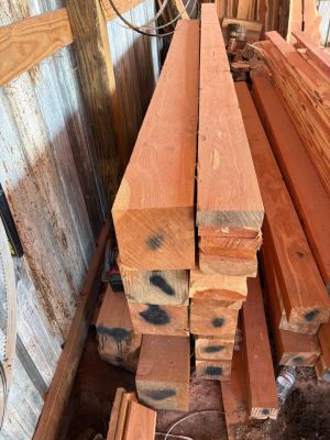 Eastern red cedar