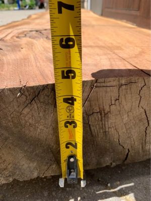 Live edge walnut slab/mantle
