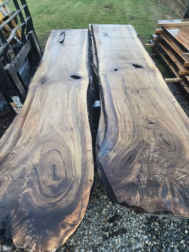 Live Edge Black Walnut Slabs - Image 3