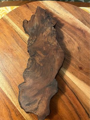Wooden Burl Slab