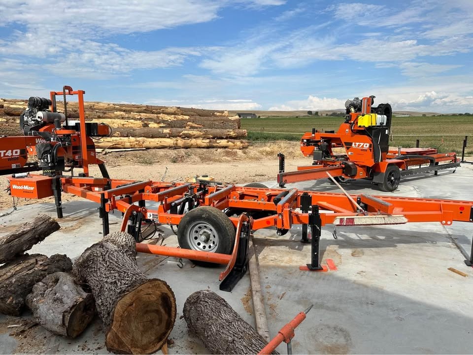 LIVE EDGE WOOD SLABS OAK, ELM, WALNUT, MAPLE, KILN DRYING - Image 4