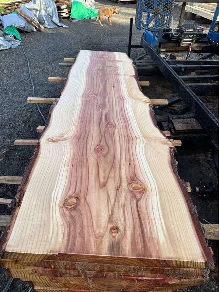Sequoia Slabs - Image 2