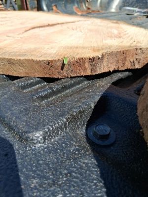 Slab of cherry wood