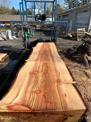Sequoia Slabs