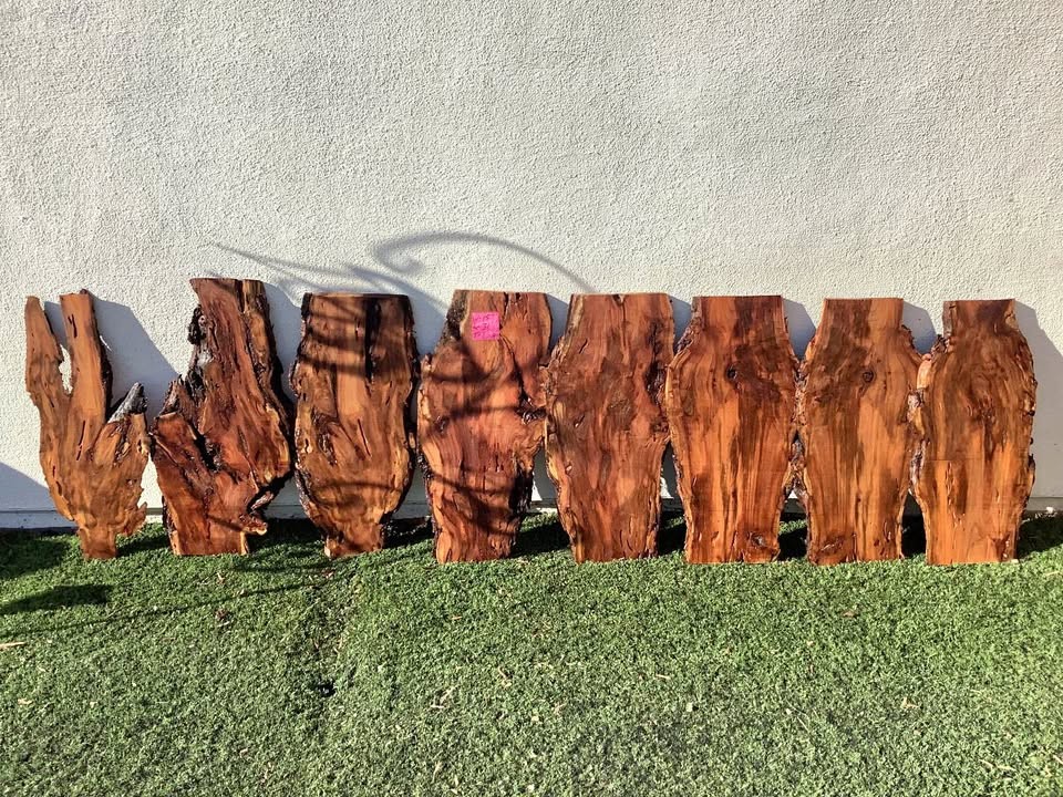 Mesquite burl slabs, - Image 1