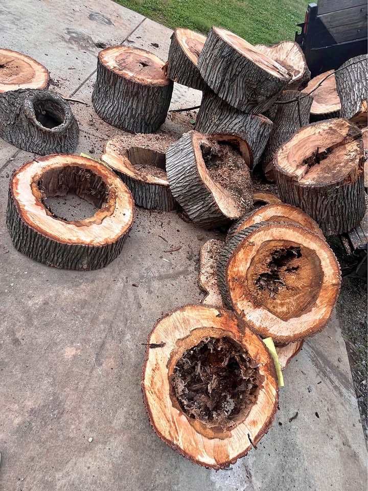 Live Edge Maple Slabs – Hollow Center – Unique Woodworking Projects - Image 1