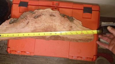 Cherry Burl Slab 18" x 6" x 2.25" — Deep Red Figured Live Edge Blank