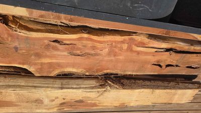 Rough Cut Cedar