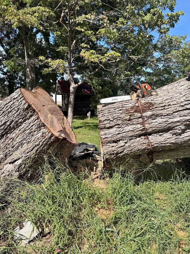 Pecan slabs for wood crafters - Image 1