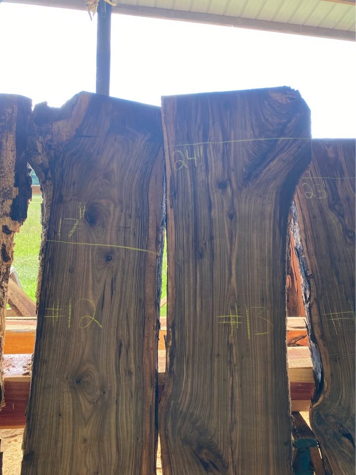 Black Walnut Live Edge Slabs - Image 7