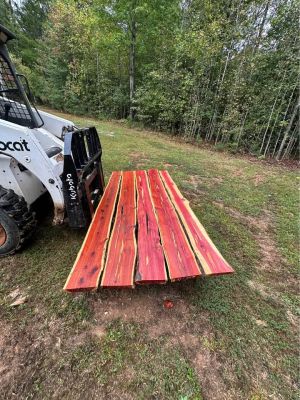 Live edge cedar and black walnut