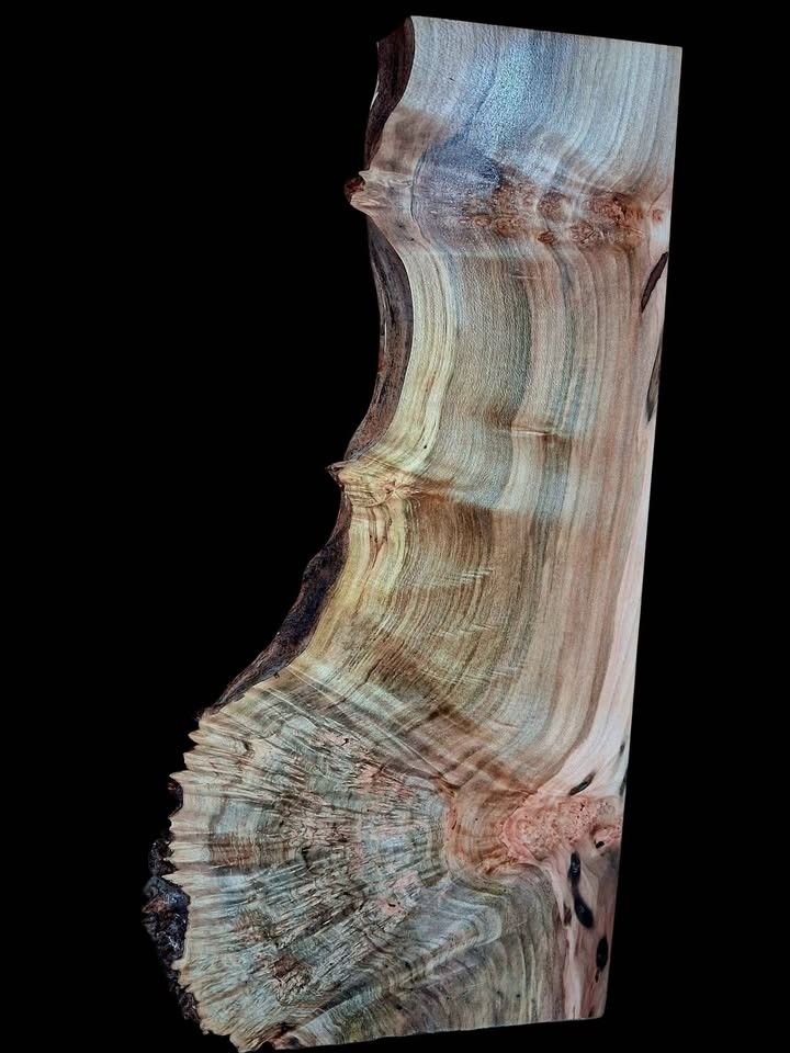 XL MIND BLOWING Birdseye MAPLE BURL Wood Blank, charcuterie blank, Live Edge Maple, EPOXY WOOD - Image 2
