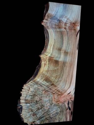 XL MIND BLOWING Birdseye MAPLE BURL Wood Blank, charcuterie blank, Live Edge Maple, EPOXY WOOD