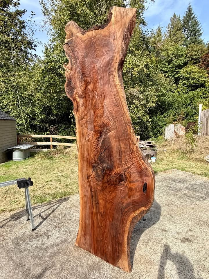 Oregon Black Walnut Slab - Image 2