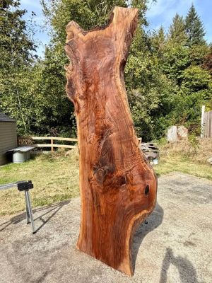Oregon Black Walnut Slab