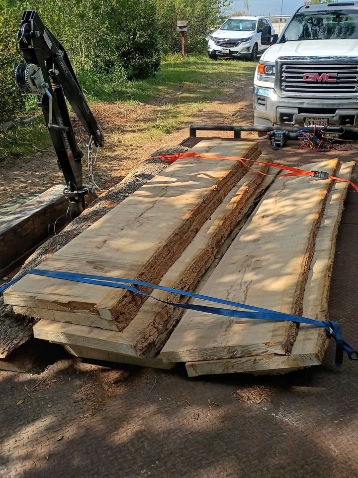 Wood slabs sale - Image 2