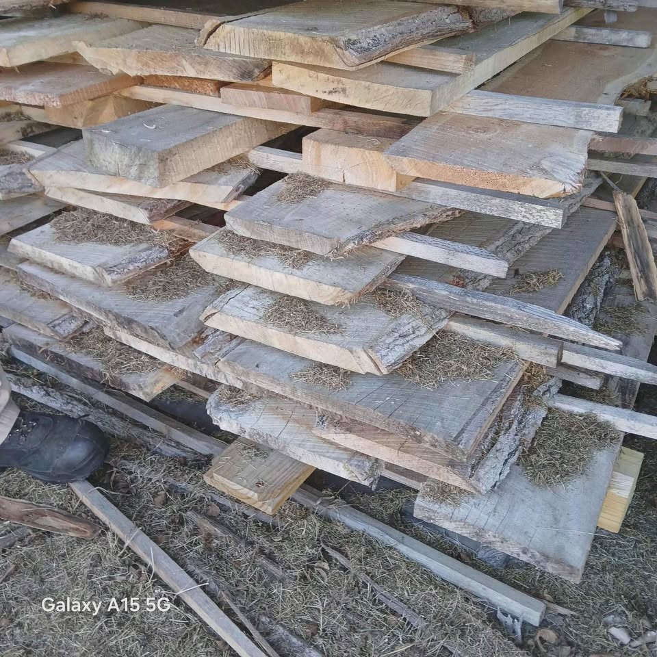 Live edge boards - Image 2