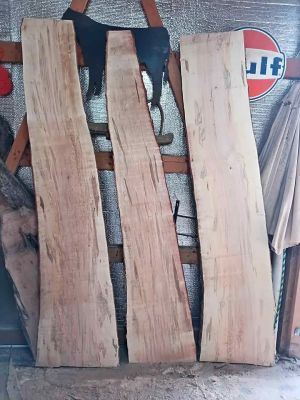 Ambrosia Maple slabs kiln dried