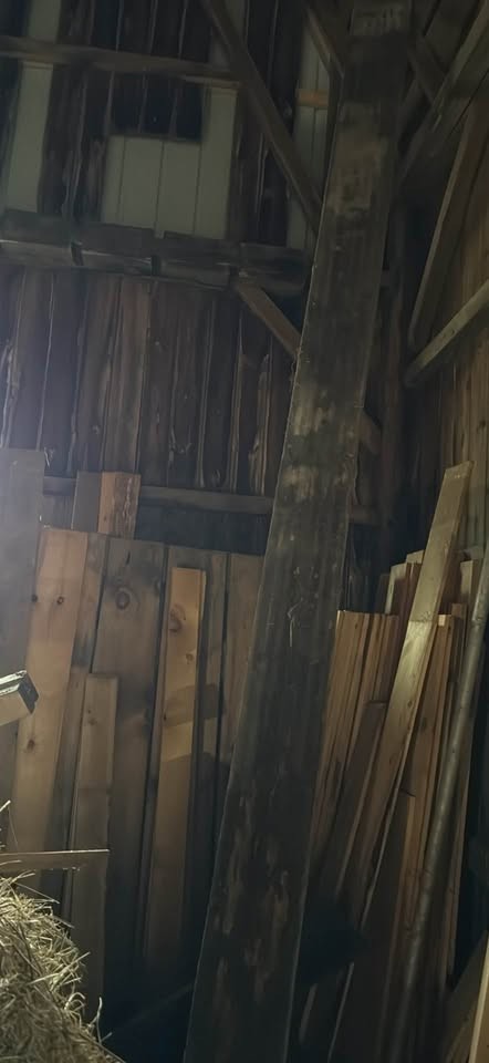 old lumber & other wood - Image 6