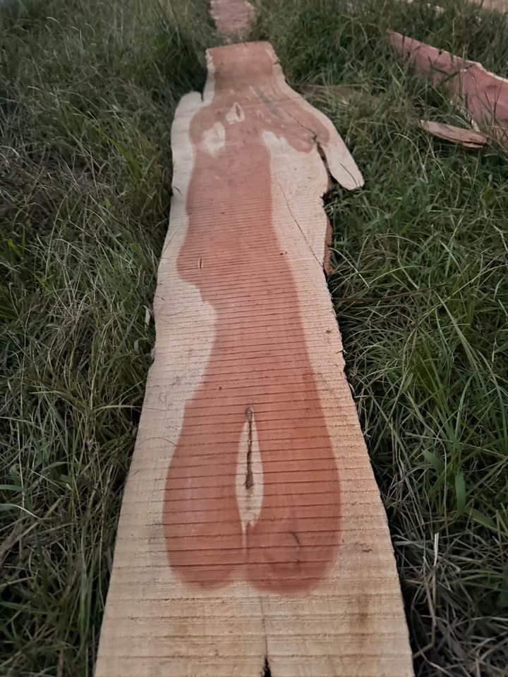 Live Edge Cedar Wood Slabs - Image 5